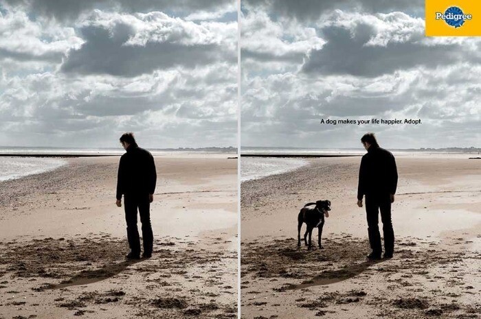 Pedigree A Dog Makes You Happier Campaign